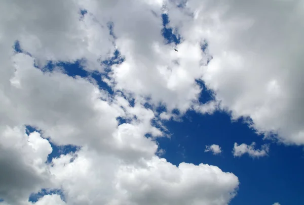 Sfondo nuvola con cielo blu e uccello — Foto Stock