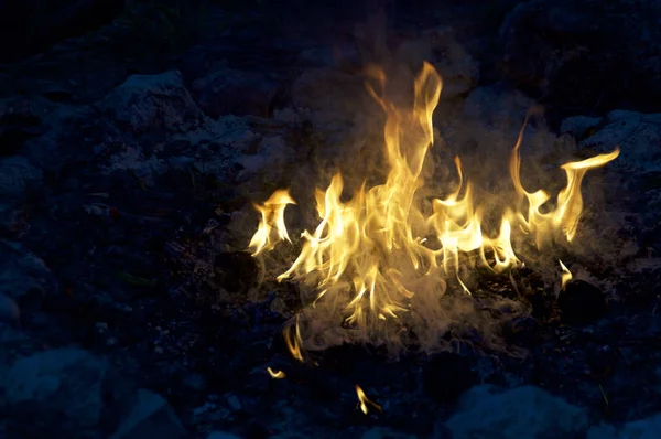 Large campfire with tall orange flames — Stock Photo, Image