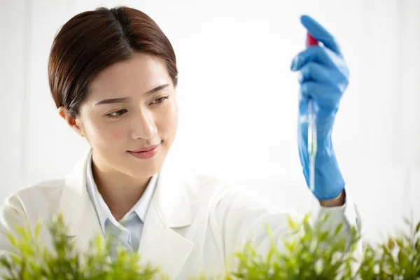 Bir Test Tüpünde Izlerken Genç Kadın Bitkiler Bilim Adamı — Stok fotoğraf
