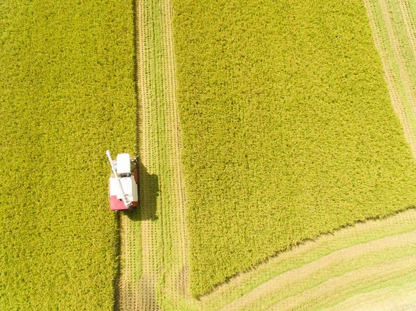 Birleştirme Hasat Makinesi Pirinç Çiftliği Olan Havadan Görünümü — Stok fotoğraf