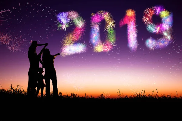 Família Assistindo Fogos Artifício Feliz Ano Novo 2019 Conceito — Fotografia de Stock