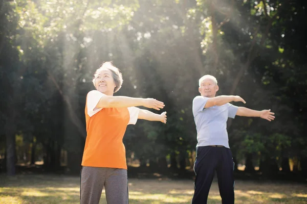 Feliz Pareja Ancianos Haciendo Ejercicio Parque —  Fotos de Stock