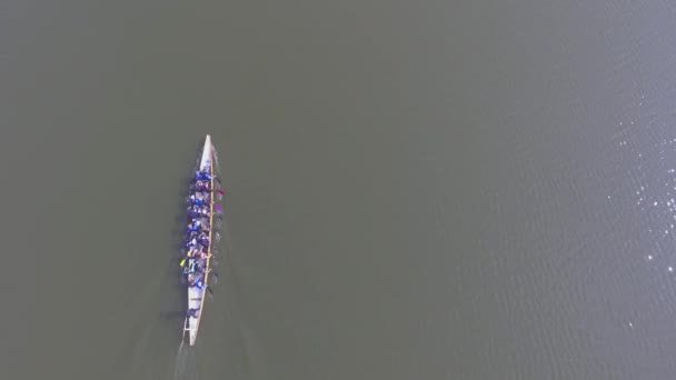 Luchtfoto Van Roeien Team Water — Stockvideo