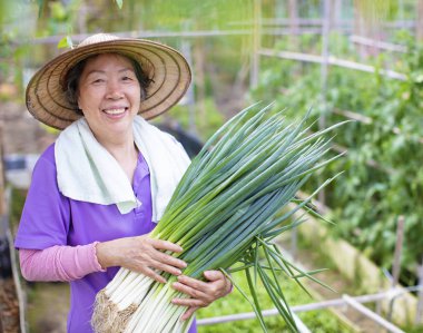 kadın kıdemli çiftçi sebze ile