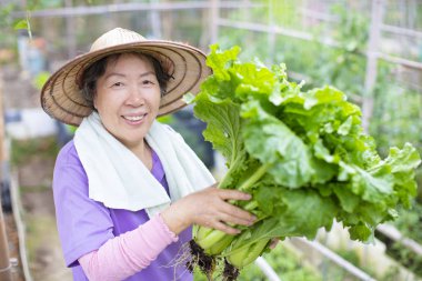 kadın kıdemli çiftçi sebze ile
