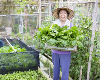 kadın kıdemli çiftçi sebze ile