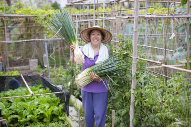 kadın kıdemli çiftçi sebze ile
