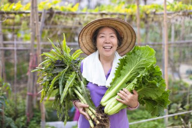 kadın kıdemli çiftçi sebze ile