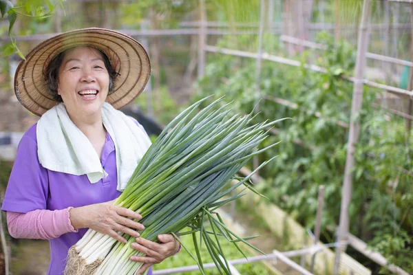 Agricoltrice anziana con verdure — Foto Stock