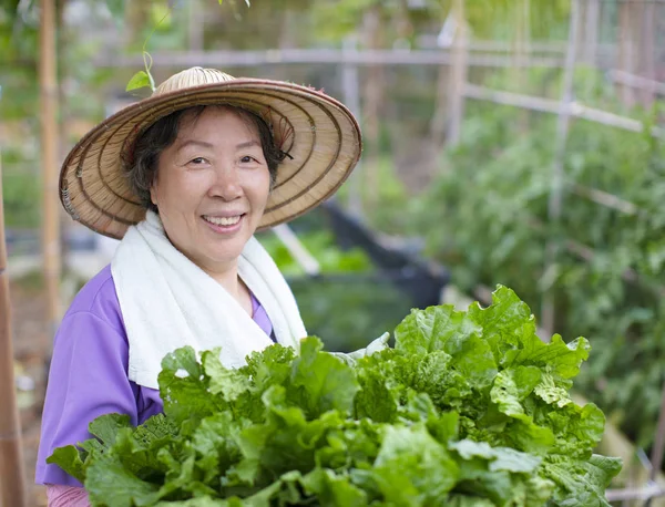 Γυναίκα ανώτερος γεωργός με λαχανικά — Φωτογραφία Αρχείου