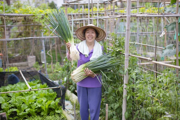 Agricultor sênior feminino com legumes — Fotografia de Stock