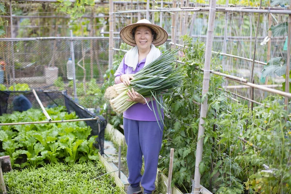 Agricoltrice anziana con verdure — Foto Stock