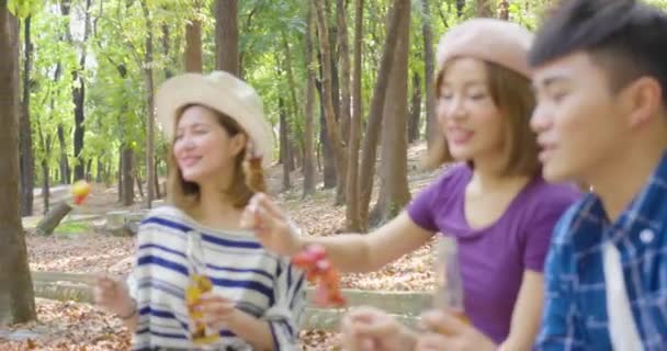 Young Friends Eating Barbecue Having Fun Cheering — Stock Video