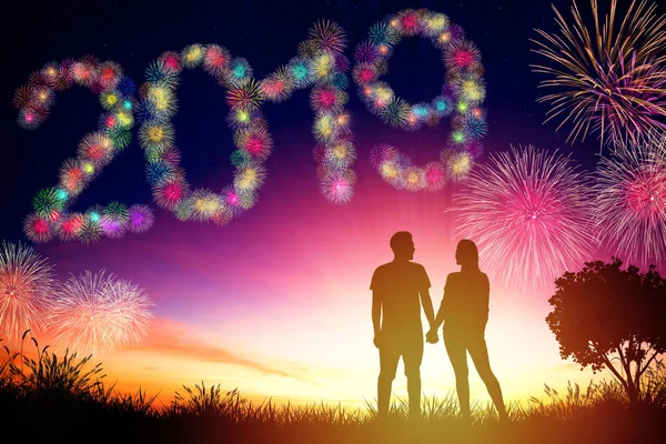 Joven pareja de pie y viendo los fuegos artificiales para 2019 año —  Fotos de Stock
