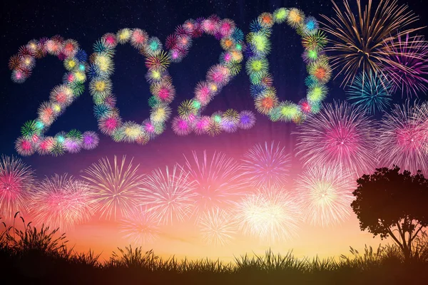 Feliz ano novo 2020 conceitos com fundo fogos de artifício — Fotografia de Stock