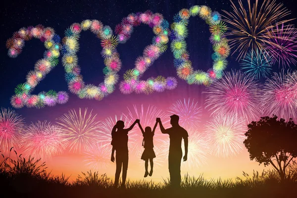 Ευτυχισμένο το νέο έτος 2020 έννοιες. οικογένεια βλέποντας πυροτεχνήματα σε λόφο — Φωτογραφία Αρχείου