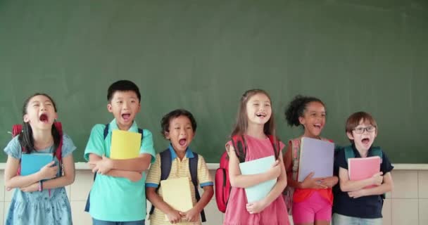 Πολυεθνική Ομάδα Σχολικών Παιδιών Που Στέκονται Στην Τάξη — Αρχείο Βίντεο