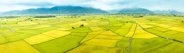 Vista aérea dos belos campos de arroz em taitung. Taiwan . — Fotografia de Stock