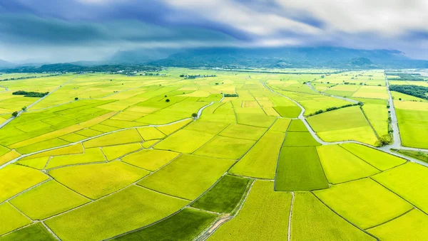 Αεροφωτογραφία του Beautiful Rice Fields σε taitung. Ταϊβάν. — Φωτογραφία Αρχείου