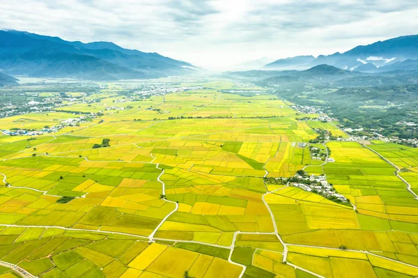 Légi kilátás gyönyörű rizs mezők Taitung. Tajvan. — Stock Fotó