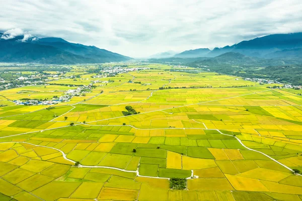 Vista aérea de Beautiful Rice Fields en taitung. Taiwán . — Foto de Stock