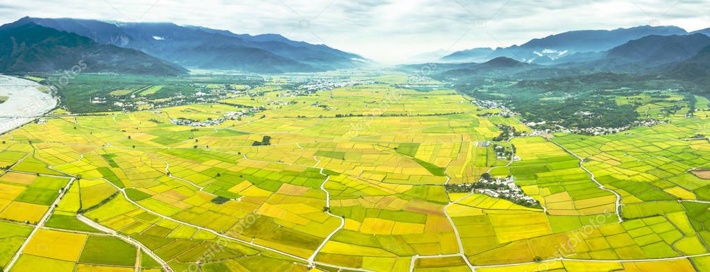 Aerial view of Beautiful Rice Fields in taitung . Taiwan.