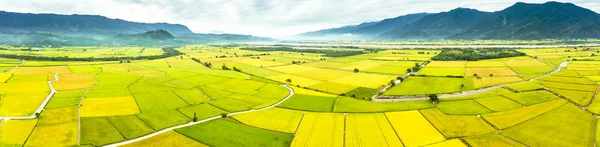 Veduta aerea di Beautiful Rice Fields in taitung. Taiwan . — Foto Stock