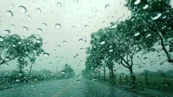 Road View Car Window Rain Drops Driving Rain — Stock Video