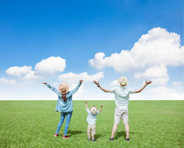 快乐的一家人站在草地上 凝视着云彩的背景 — 图库照片