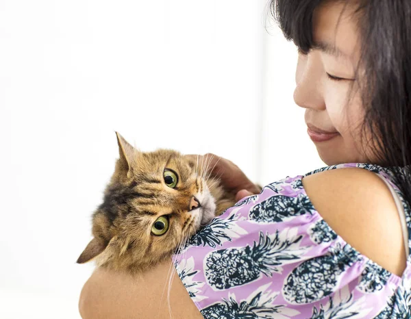 Young Woman Holding Her Arms Cat — Stock Photo, Image