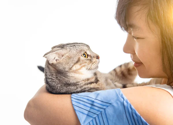 Woman Holding Cute Cat Resting Home — Stock Photo, Image
