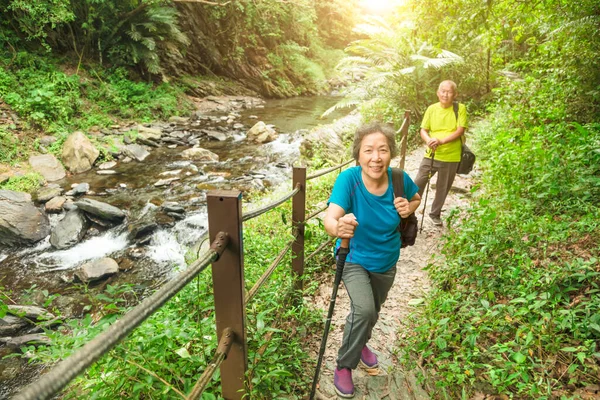 Pasangan Senior Asia Yang Bahagia Hiking Taman Alam — Stok Foto