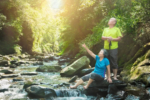 Heureux Couple Sénior Randonnée Dans Parc Naturel — Photo