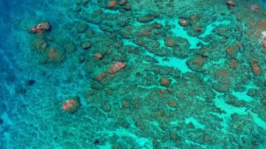 Kıyı şeridi ve mercan resiflerinin havadan görünüşü