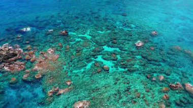 Kıyı şeridi ve mercan resiflerinin havadan görünüşü