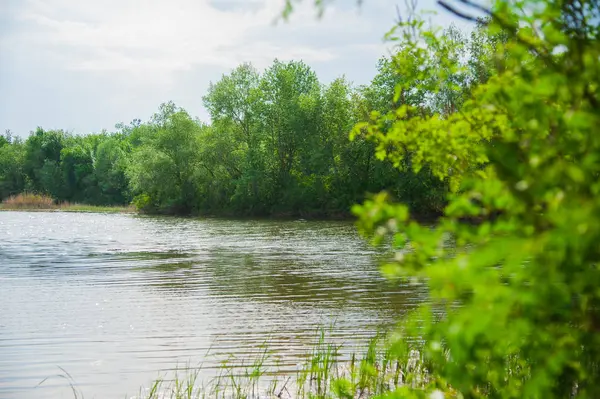 Hermoso Paisaje Verano Orilla Del Río Día Soleado — Foto de Stock