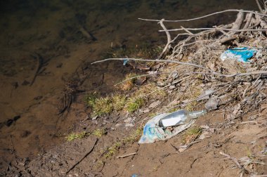 Nehrin kıyısında plastik şişeler ve çöp atıkları.