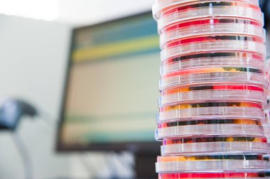 Mikrobiyoloji laboratuvarında biyoloji örnekleriyle çalışma masası.