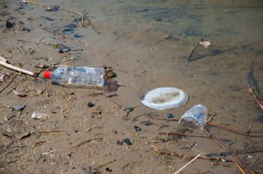 Nehrin kıyısında plastik şişeler ve çöp atıkları.