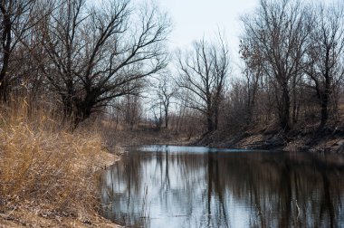 Sprin sel Nehri üzerinde. Bahar düz nehir