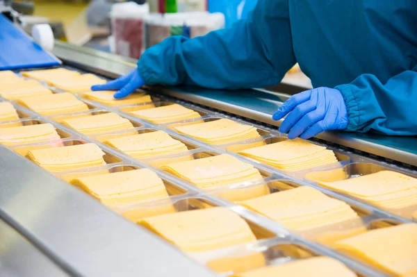 Industrial Production Hard Cheeses Cheese Very Tasty Healthy Product — Stock Photo, Image