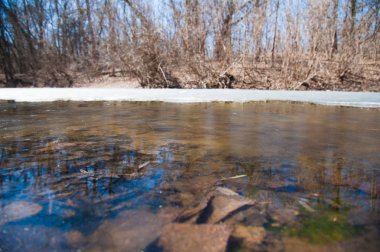 Erken baharda ormandaki nehir sessizce akan akar olduğunda hala buz ve kar. Bahar manzara