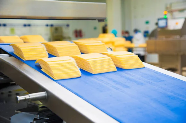 Industrial production of hard cheeses. Cheese is very tasty and healthy product