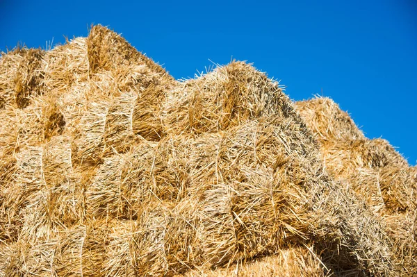 Hay Storage Shed Full Bales Hay Farm — Stock Photo, Image