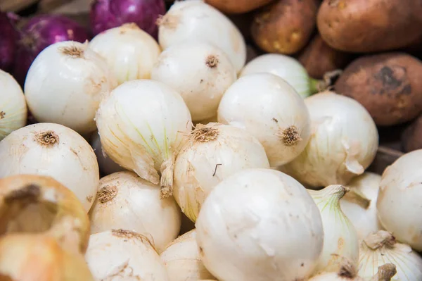 Fresh Organic Yellow Onions Supermarket — Stock Photo, Image