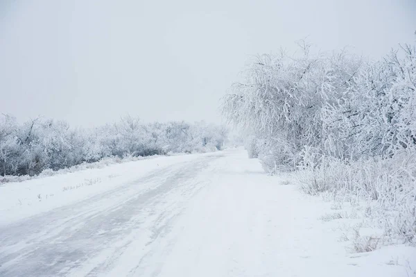 Χειμωνιάτικο Τοπίο Χωματόδρομο Στο Δάσος Χειμώνα — Φωτογραφία Αρχείου