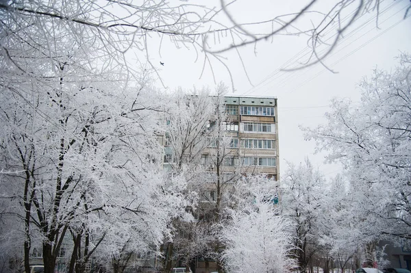 Verschneite Bäume Stadtpark Winter — Stockfoto