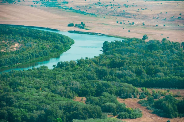 Bir Yaz Günü Havada Orman Manzarası — Stok fotoğraf