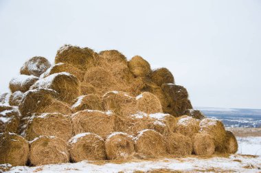 Saman depolama grubundaki balya saman dolu döken. Bir pyramind içinde yığılmış balya