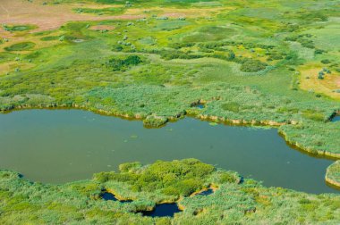Bir yaz günü çayırların ve tarlaların havadan görünüşü